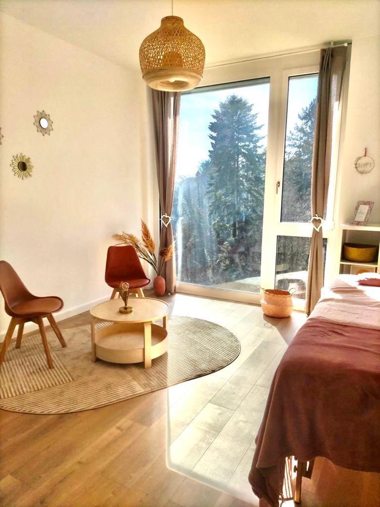 Salle cosy avec fauteuils